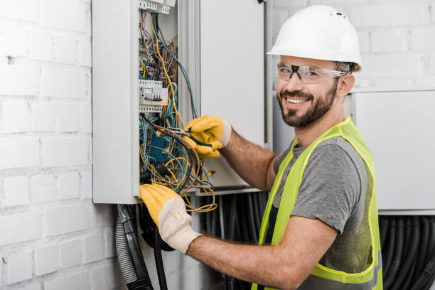 Best Electric Panel Repair  in Neoga, IL