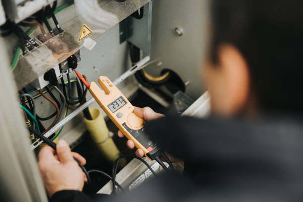 Best Generator Installation Services  in Neoga, IL