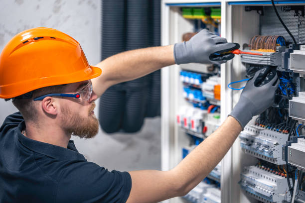 Best Electrical System Inspection  in Neoga, IL
